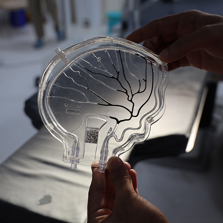 MMA Fluoroscopy Training Single-Use Model Type C